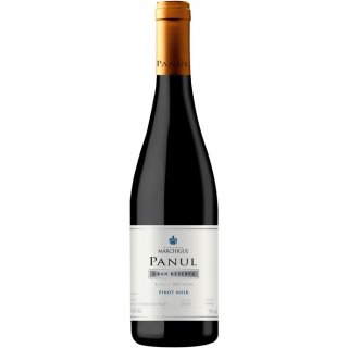 ѥ̡ ԥΡΥ 󡦥쥻(ӥ˥ɥ饹ꥹХꥧ)2020750ml<BR>Panul Pinot Noir Gran Reserva