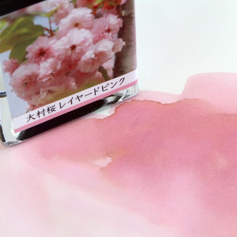 桜❀さま専用ページ d｜カゼグルマ 桜 1個入 | KONCENT Web shop｜アッシュ