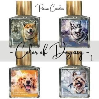 通販]ピエール・カルダン Piere Cardin Color of Dogasy 2| 石丸