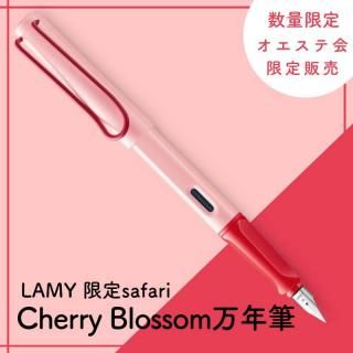 パイロット万年筆 カスタム845 おし 紅湊 日本橋丸善 パイロット万年筆 カスタム845 おし 紅湊 日本橋丸善