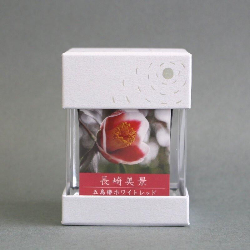 台湾 asimocrafts 阿西墨製作所 パイントグラス アシモクラフツ
