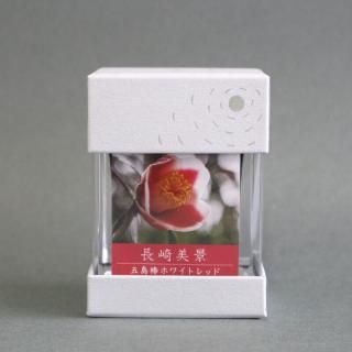 дʸƲ Ĺ  إۥ磻ȥå 50ml
