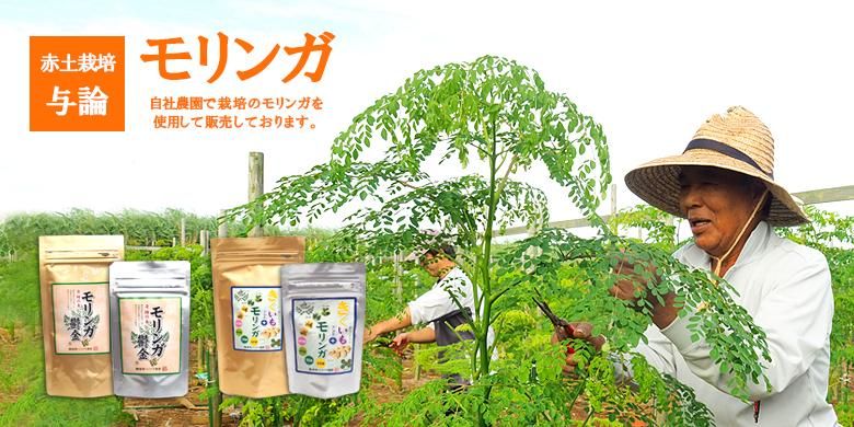 サンコーラル│与論島のお土産・特産品の通販