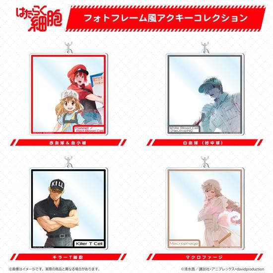 「はたらく細胞」フォトフレーム風アクキーコレクション - TUK_ang SHOP ~つかんぐショップ~