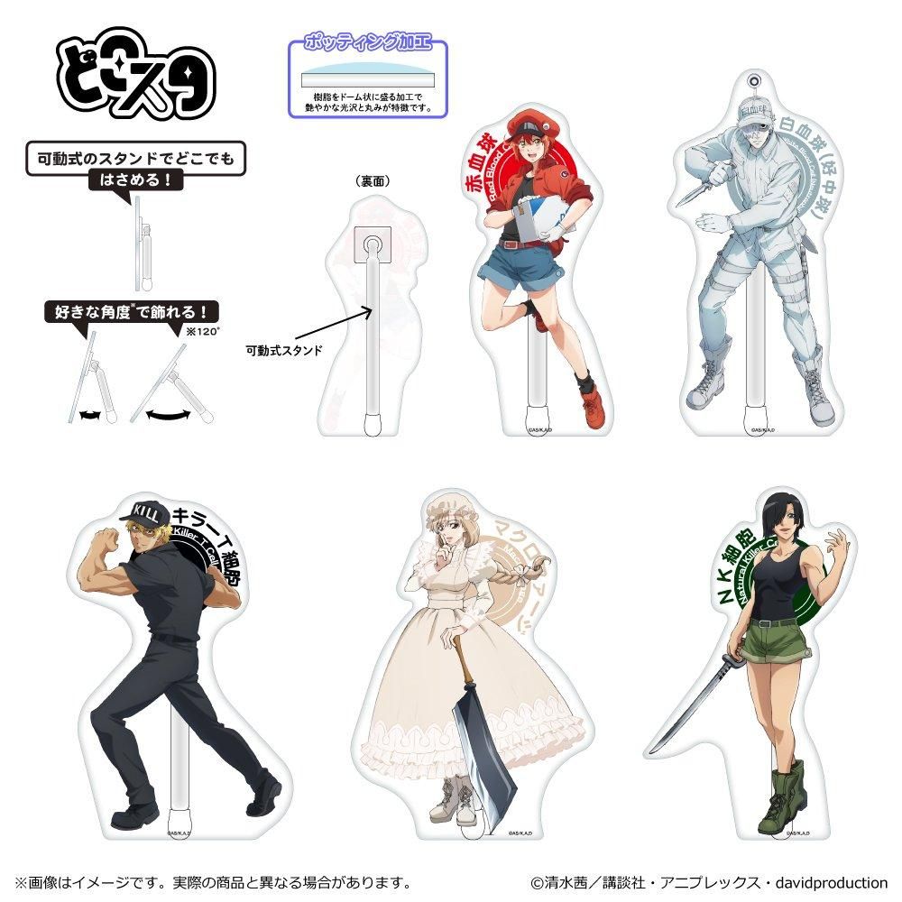 大人気！まとめ一覧 - どこスタ はたらく細胞 TUK_ang ～つかんぐショップ～ SHOP 科学・サイエンス