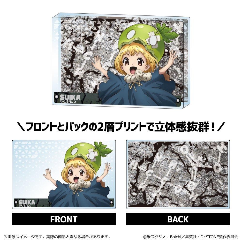 Dr.STONE ミニアクリルブロック 単品 - TUK_ang SHOP ～つかんぐ