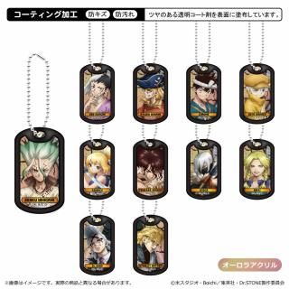 Dr.STONE ɥåۥ ñ