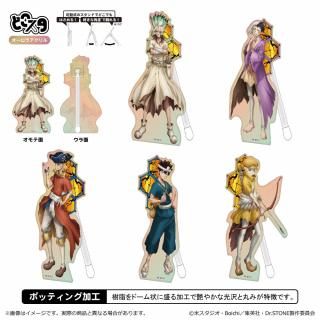 Dr.STONE ɤ(ver.)