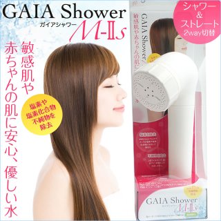 GAIAM-2S