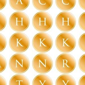 ALPHABET MARK CIRCLE (ե٥åȥޡ 롦᥿å)
