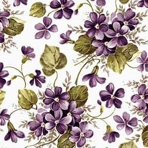 VIOLET CHINTZ (Хå )(̵ʤ꼡轪λ)