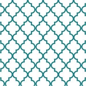 STYLISH MOROCCAN (åå󡦥ɥ꡼)