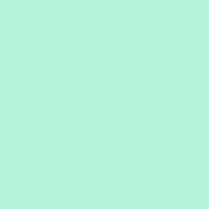 COLOR ICE GREEN (ñ꡼)