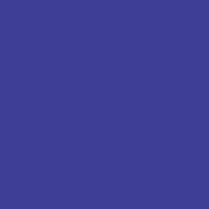 COLOR ROYAL BLUE (ñ֥롼)