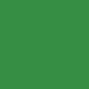 COLOR FOREST GREEN (ñե쥹ȥ꡼)