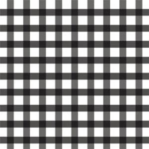 GINGHAM CHECK (󥬥å֥å)