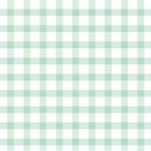 GINGHAM CHECK (󥬥å꡼)