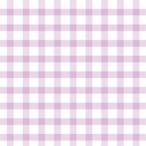 GINGHAM CHECK (󥬥åڡ륪å)