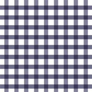 GINGHAM CHECK (󥬥åͥӡ)