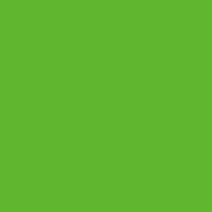 COLOR APPLE GREEN(ñåץ륰꡼)