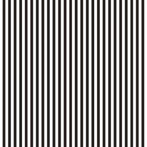 STRIPE (ȥ饤סۥ磻)