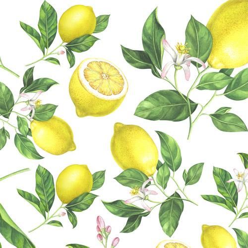 JUICY LEMON(ジューシーレモン) - おしゃれな食器・インテリア