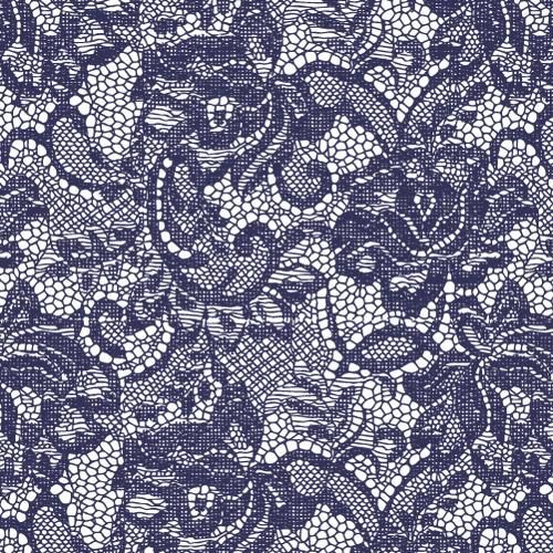 アート・デザイン・音楽 LACE FROM THE VICTORIA AND  MUSEUM CORSET MUSEUM
