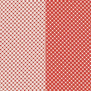 SHIBORI(ʤꡦå)