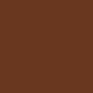 COLOR BROWN(ñ֥饦)