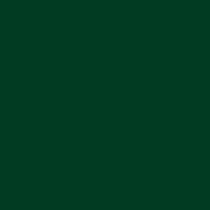 COLOR DEEP GREEN(ñǥץ꡼)