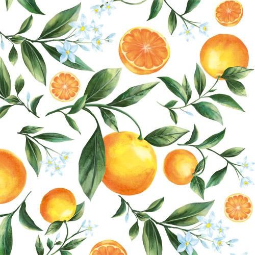ORANGE(オレンジ) - おしゃれな食器・インテリア・転写紙