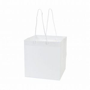 紙袋(ホワイト)(L)/ショッパー ペーパーバッグ ギフト プレゼント ラッピング
