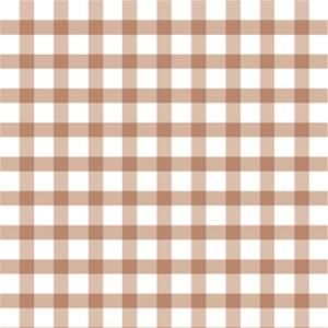 GINGHAM CHECK (󥬥å饤ȥ֥饦)/ž̻ եåʥ֥