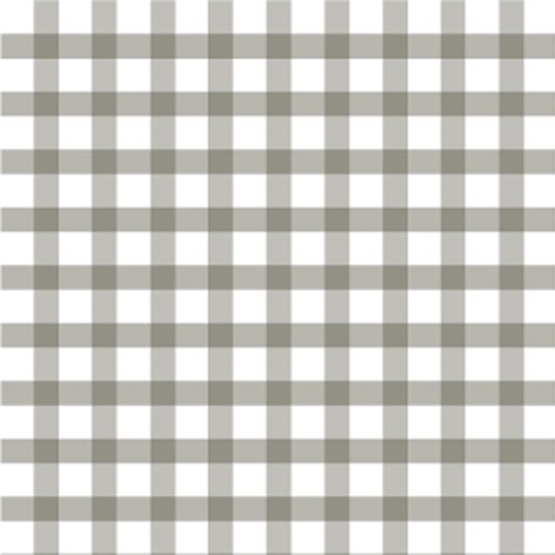 GINGHAM CHECK (󥬥å֥饦)