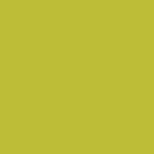 COLOR KIWI (単色・キウイ)/転写紙 黄緑 緑 単色
