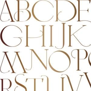 ELEGANT ALPHABET(쥬 ե٥åȡ֥饤ȥ/б)/ž̻ ˥ Ѹ ʸ 