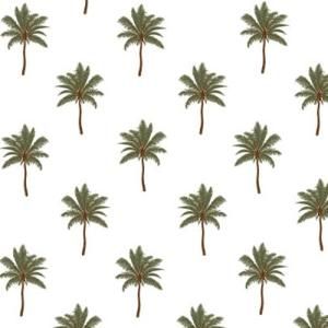 PALM TREEll(ѡĥ꡼2)/ž̻   ꥾ ܿҤ 䥷