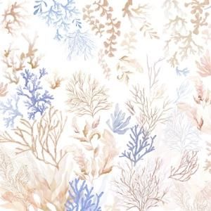CORAL(롦١)/ž̻    ʥ