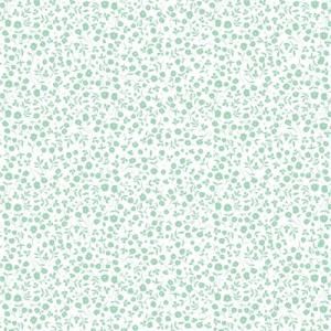 CHINTZ FLOWER(ĥեɥ꡼)/ž̻   ʥ