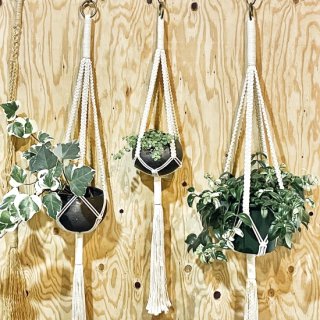 PLANT HANGER<br>ץȥϥ󥬡 - եå åȥ