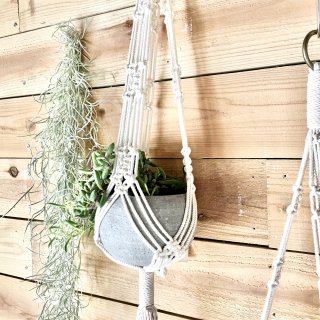 PLANT HANGER<br>ץȥϥ󥬡 Ρ֥ Х 1100 åȥ