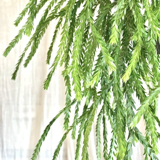 入荷しました！フペルジア『Triangle Satool』2番 再入荷しました！フペルジア『Triangle Satool』2番 - メルカリ