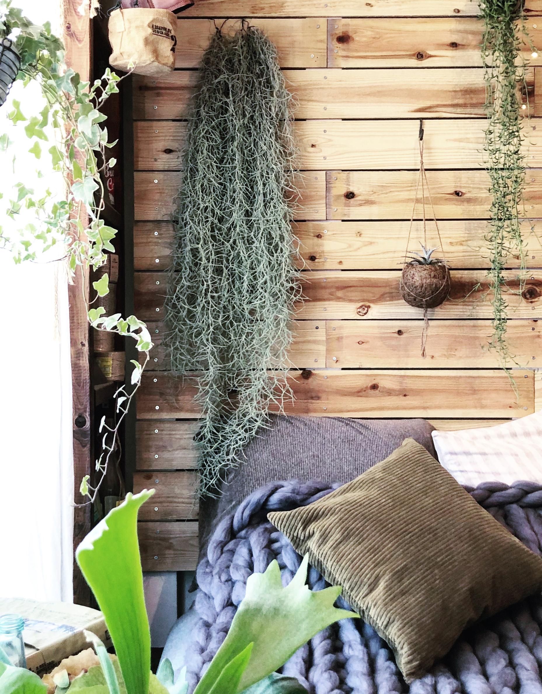 グリーンLife Book 2 (緑と雑貨で輝く暮らし) グリーンLife Book 2 (緑と雑貨で輝く暮らし) 【公式通販】