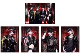 本命ギフト SHINKO - JILUKA MUSIC SHOP RECORDS その他