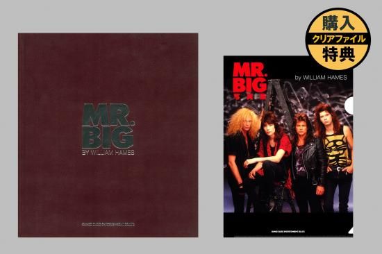 MR. BIG̿ʹŵաBY WILLIAM HAMES<img class='new_mark_img2' src='https://img.shop-pro.jp/img/new/icons15.gif' style='border:none;display:inline;margin:0px;padding:0px;width:auto;' />