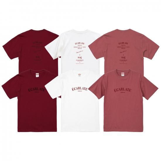 ƣ <br>顼ȻɽT<img class='new_mark_img2' src='https://img.shop-pro.jp/img/new/icons15.gif' style='border:none;display:inline;margin:0px;padding:0px;width:auto;' />