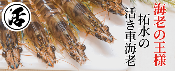 Âó¿å¤Î³è¤¼Ö³¤Ï·