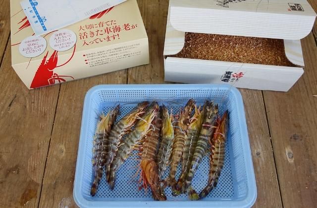 えびふらいさま確認ページ♡