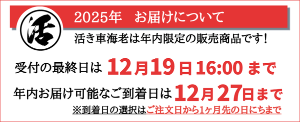 2025ǯ⤪ϤˤĤƳ褭Ϸ