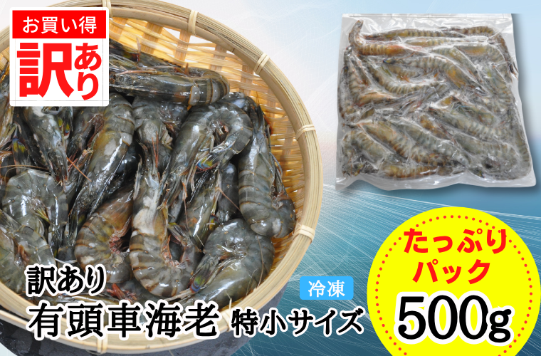 訳あり 有頭車海老500g